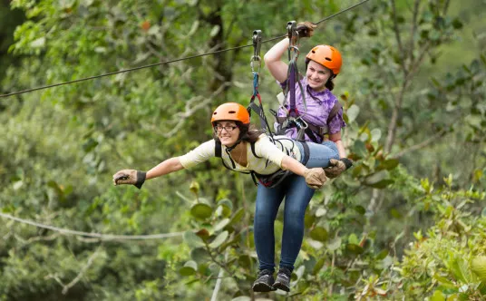 Canopy Adventure